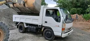 Isuzu Tipper 2002 Lorry (Used)