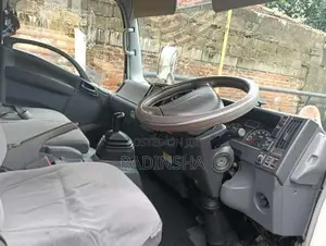 Isuzu Freezer 2011 Lorry (Used)