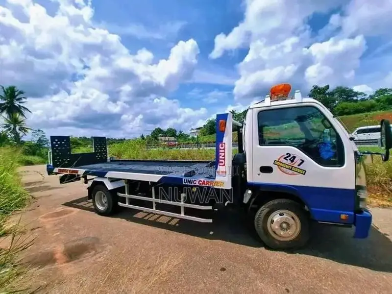 Isuzu Carrier 2007 Lorry (Used)