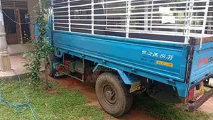 Isuzu NKR ELF 250 1986 Lorry (Used)