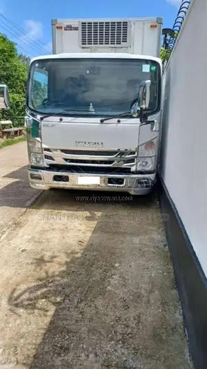 Isuzu ELF 2017 Lorry (Used)