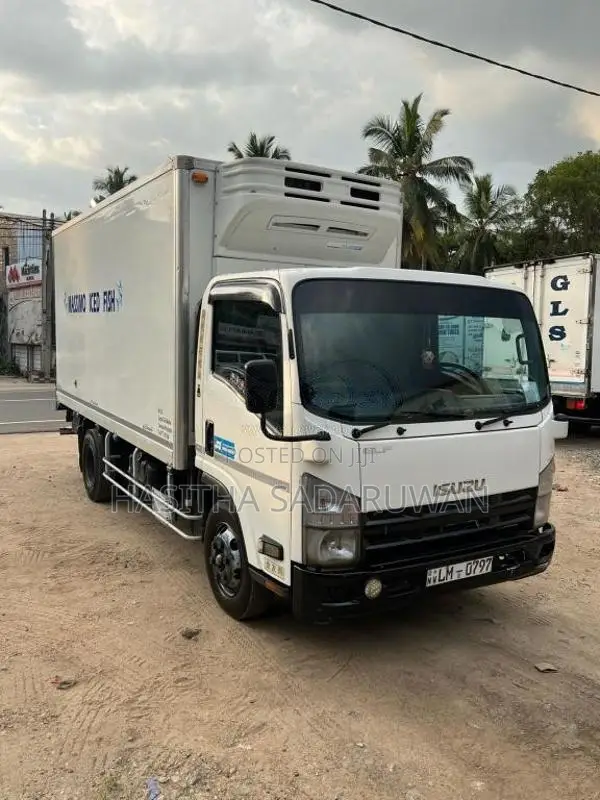 Isuzu Freezer 2011 Lorry (Used)