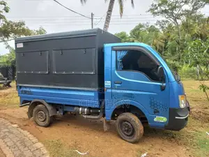 Tata Dimo Batta 2019 Lorry (Used)