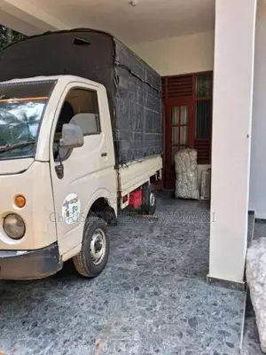 Tata Dimo Batta 2009 Lorry (Used)