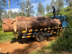 Mitsubishi Fuso 2002 Lorry (Used)