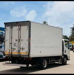 Isuzu Freezer 2019 Lorry (Used)