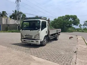 Isuzu Isuzu 2012 Lorry (Used)