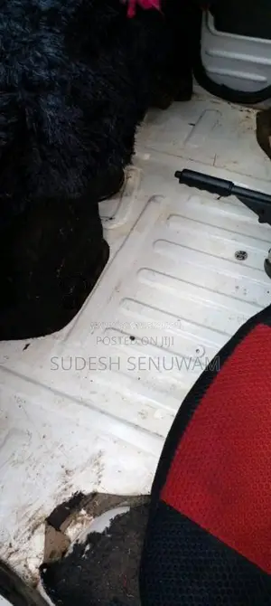 Tata Dimo Batta 2007 Lorry (Used)