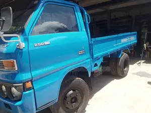 Isuzu ELF 250 1980 Lorry (Used)