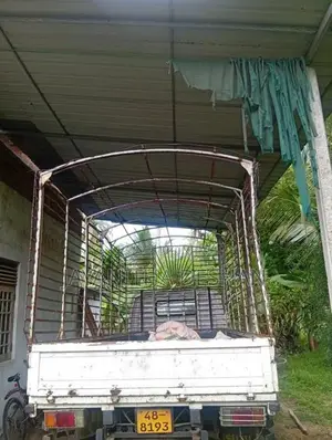 Isuzu ELF 1999 Lorry (Used)