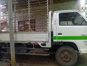 Isuzu ELF 1999 Lorry (Used)