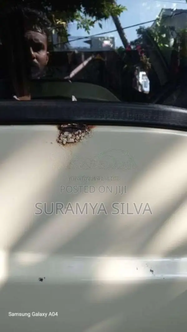 Tata Dimo Batta 2017 Lorry (Used)
