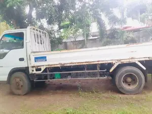 Isuzu Isuzu 1994 Lorry (Used)