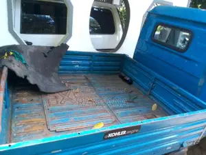 Mahindra Gio 2010 Lorry (Used)