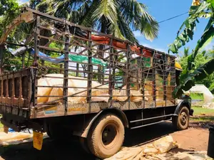 Tata 1613 1995 Lorry (Used)
