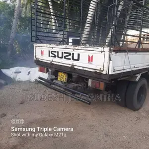 Isuzu ELF 1990 Lorry (Used)