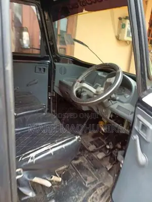 Mahindra Gio 2010 Lorry (Used)