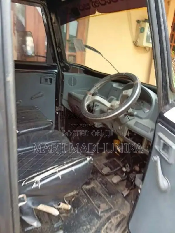 Mahindra Gio 2010 Lorry (Used)