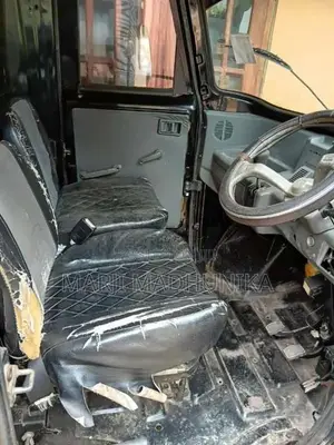 Mahindra Gio 2010 Lorry (Used)