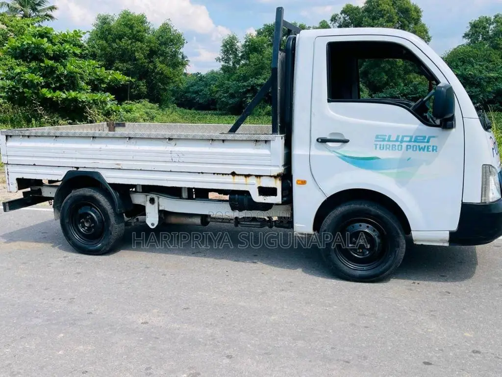 Tata Dimo Lokka 2019 Lorry (Used)