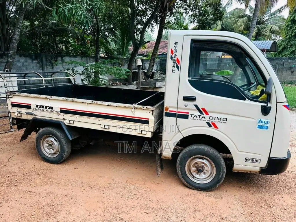 Tata Dimo Batta 2010 Lorry (Used)