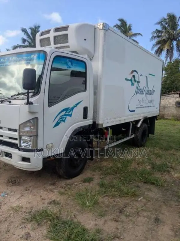 Isuzu ELF 14.5 Freezer 2017 Lorry (Used)