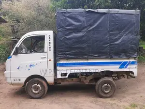 Mahindra Maxximo Plus 2016 Lorry (Used)