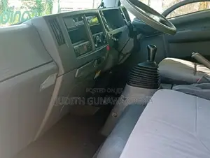 Isuzu Freezer 2011 Lorry (Used)