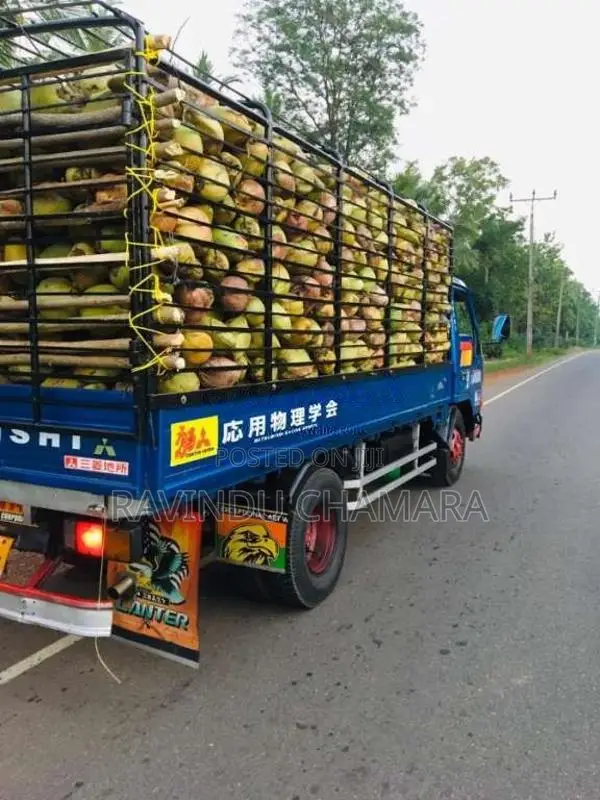 Mitsubishi CANTER 1988 Lorry (Used)