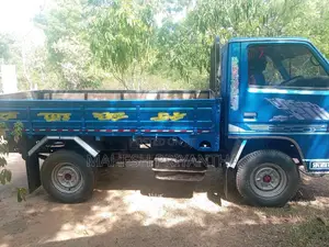 Isuzu ELF 1980 Lorry (Used)