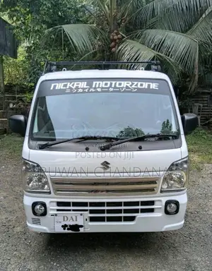 Suzuki Carry 2024 Lorry (Used)
