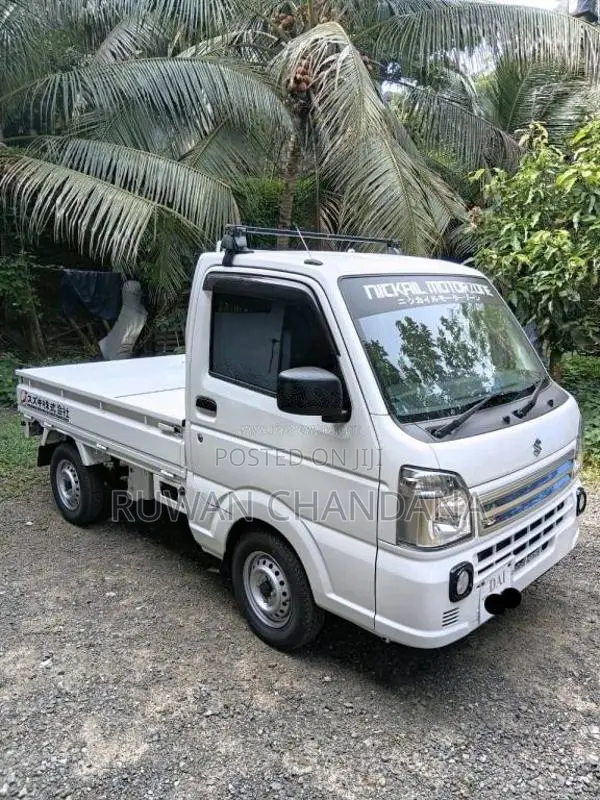Suzuki Carry 2024 Lorry (Used)