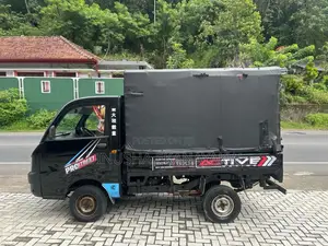 Mahindra Maxximo Plus 2013 Lorry (Used)