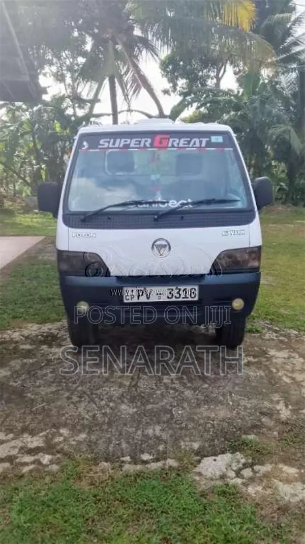 Foton Double 2013 Lorry (Used)