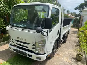 Isuzu Lorry Isuzu 2026 Lorry Brand New