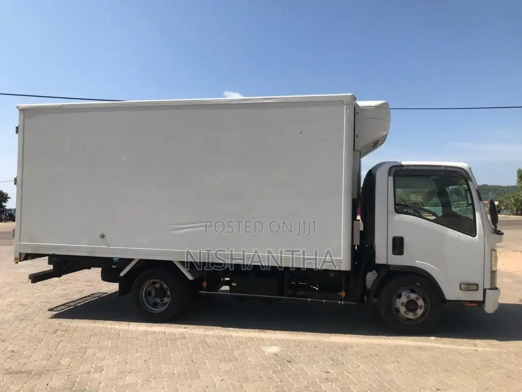 Isuzu Freezer 2010 Lorry (Used)