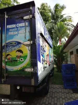 Isuzu ELF 2008 Lorry (Used)