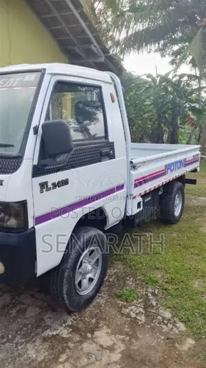 Foton Double 2013 Lorry (Used)