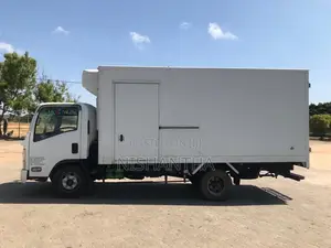 Isuzu Freezer 2010 Lorry (Used)