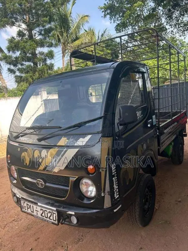 Tata Dimo Batta 2012 Lorry (Used)