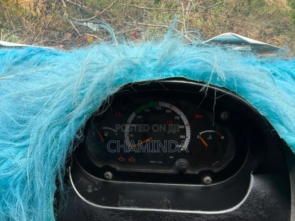 Tata Dimo Batta 2019 Lorry (Used)