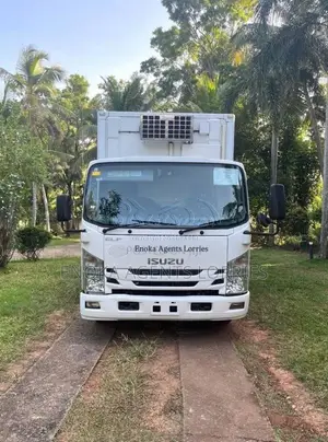 Isuzu 18.5ELF 2018 Lorry (Used)