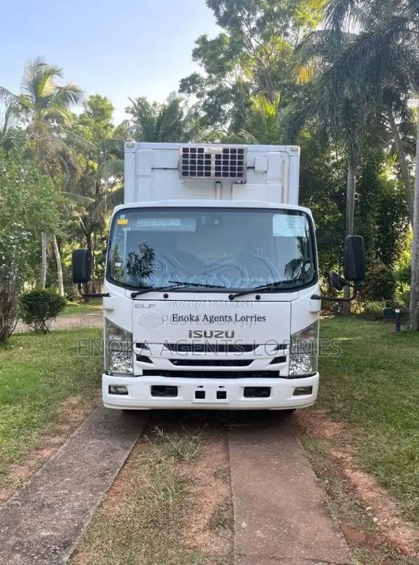Isuzu 18.5ELF 2018 Lorry (Used)