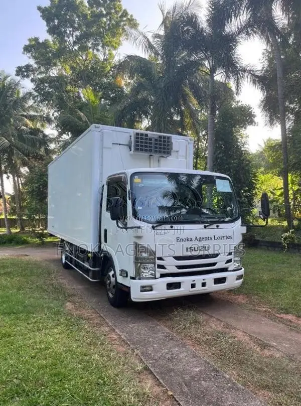Isuzu 18.5ELF 2018 Lorry (Used)