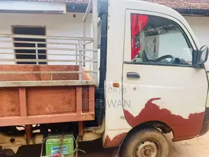 Mahindra Maxximo Plus 2013 Lorry (Used)