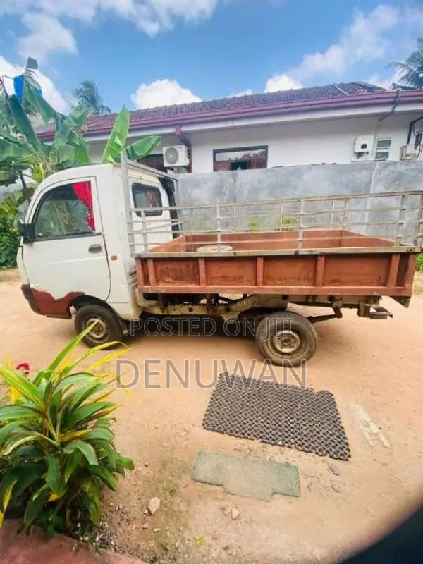 Mahindra Maxximo Plus 2013 Lorry (Used)
