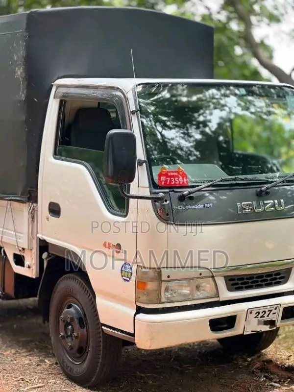 Isuzu ELF 1995 Lorry (Used)