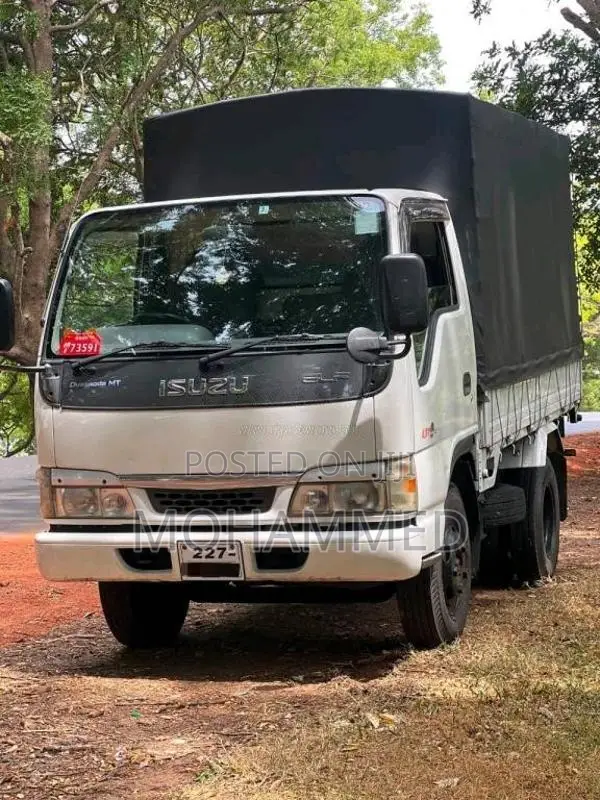 Isuzu ELF 1995 Lorry (Used)