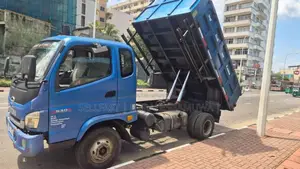 Foton Tipper 2019 Lorry (Used)