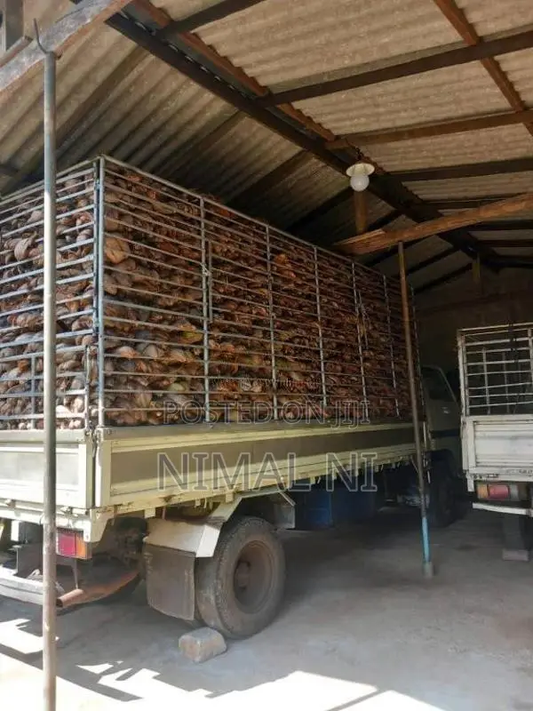 Toyota Dyna 1982 Lorry (Used)
